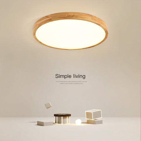Dimmable Ceiling Light